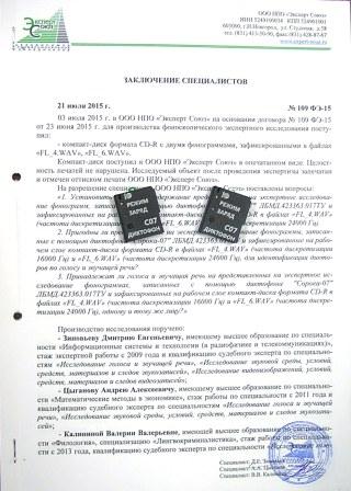 Заключение НПО "Эксперт Союз" Сорока-07